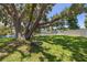 Spacious backyard featuring a mature tree with a swing, lush green lawn, and water view at 10730 52Nd N Ave, St Petersburg, FL 33708