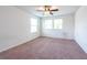 Comfortable bedroom with carpet, a ceiling fan, and natural light from two large windows at 11035 Sage Canyon Dr, Riverview, FL 33578