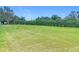 Spacious backyard with manicured lawn and perimeter trees at 12637 Tyler Run Ave, Odessa, FL 33556
