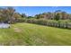 Sprawling backyard featuring well-maintained lawn and perimeter privacy trees at 12637 Tyler Run Ave, Odessa, FL 33556