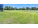 Manicured green backyard with a white fence in the distance, creating a serene and expansive outdoor space at 12637 Tyler Run Ave, Odessa, FL 33556