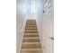 Carpeted staircase with white handrail leading to the upper level at 12637 Tyler Run Ave, Odessa, FL 33556