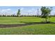 Well-manicured backyard with lush green lawn and mature trees, perfect for outdoor activities at 14317 Eagle Branch Dr, Nokomis, FL 34275