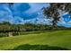 Beautiful green lawn and waterfront view enhance this property's appeal with lush greenery and blue skies at 1729 Seascape Cir # 102, Tarpon Springs, FL 34689