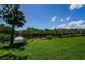 Lush lawn with a serene pond and surrounding trees at 1729 Seascape Cir # 102, Tarpon Springs, FL 34689