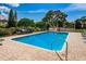 Inviting outdoor community pool surrounded by lush landscaping under clear blue skies at 1729 Seascape Cir # 102, Tarpon Springs, FL 34689