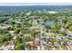 Aerial view of a neighborhood featuring mature trees, single-Gathering homes, and a small pond adding natural beauty at 17838 Morninghigh Dr, Lutz, FL 33549