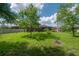 Expansive backyard featuring lush green lawn and mature landscaping at 18434 Eastwyck Dr, Tampa, FL 33647