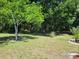 Green backyard boasting vibrant trees and a meticulously manicured lawn at 18434 Eastwyck Dr, Tampa, FL 33647