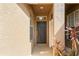 Inviting front door featuring a traditional design with sidelights and plants at 18809 Duquesne Dr, Tampa, FL 33647
