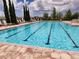 Community lap swimming pool with lane markers and lounging chairs at 1905 Blue Stream St, Ruskin, FL 33570