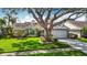 Well-manicured front yard with large shade tree, lush lawn, and a two-car garage at 1906 White Cedar Way, Brandon, FL 33511