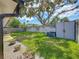 Fenced backyard with lush green grass, mature trees, and a storage shed at 2254 Springrain Dr, Clearwater, FL 33763
