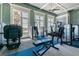 Well-equipped gym with weight machines and large windows at 4653 Ancona Way, Wesley Chapel, FL 33543