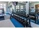 Weight training area in the gym, with dumbbells and mirrors for exercise at 4653 Ancona Way, Wesley Chapel, FL 33543