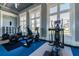 Modern gym with various exercise machines and large windows offering outdoor views at 4653 Ancona Way, Wesley Chapel, FL 33543