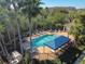 Overhead view of the community pool featuring palm trees, lounge chairs, tables, and a shaded seating area at 6606 Pullen Ct, Tampa, FL 33625