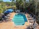Aerial view of the community pool, featuring lounge chairs, tables, and umbrellas for a resort-style experience at 6606 Pullen Ct, Tampa, FL 33625