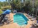 Aerial view of the community pool, showcasing its layout with lounge chairs, tables, and landscaping at 6606 Pullen Ct, Tampa, FL 33625