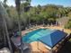 Aerial view of the community pool with lounge chairs, tables, and a nearby pool house surrounded by trees at 6606 Pullen Ct, Tampa, FL 33625