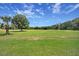 Spacious grassy field under a bright blue sky with scattered trees in the background at 937 Old Welcome Rd, Lithia, FL 33547