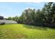 Large backyard with green grass, a black metal fence, and lush trees in the background at 11132 Creek Haven Dr, Riverview, FL 33569