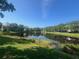 Scenic community pond reflecting the clear blue sky and surrounding lush green trees at 14618 Mirabelle Vista Cir, Tampa, FL 33626