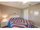 Well-lit bedroom with decorative bedding and a quaint, cozy feel at 17735 Oak Bridge St, Tampa, FL 33647