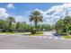 Neighborhood entrance with a manicured median and palm trees, leading to a welcoming community at 18439 Bridle Club Dr # 18439, Tampa, FL 33647