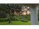 Lush backyard with mature trees, offering a peaceful and private outdoor space at 19251 Stone Hedge Dr, Tampa, FL 33647