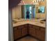 Bathroom with double sink vanity, neutral countertop, wood cabinets, and large framed mirror at 19251 Stone Hedge Dr, Tampa, FL 33647