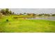 Beautiful golf course with a serene pond, vibrant green grass, tee markers, and views of neighborhood homes at 2221 Platinum Dr, Sun City Center, FL 33573