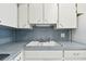 The kitchen sink features a blue backsplash at 2311 Brisbane St # 45, Clearwater, FL 33763
