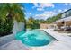 Inviting pool area with palm trees, an accent wall, built-in spa, and patio with barbecue at 2819 Safe Harbor Dr, Tampa, FL 33618