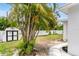 Lush backyard featuring a shed, a palm tree, and a privacy fence at 3381 19Th Sw Pl, Largo, FL 33774