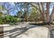 A tranquil backyard featuring mature trees and ample green space at 412 Mira Vista Dr, Dunedin, FL 34698
