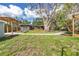 Expansive backyard with a well-maintained lawn, complemented by a pergola and mature trees, creating a peaceful outdoor space at 412 Mira Vista Dr, Dunedin, FL 34698