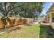 Expansive backyard with lush green grass, a wooden fence, and mature trees at 516 Northmoor N Ave, St Petersburg, FL 33702