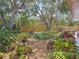 Lush backyard with mature trees, plants and privacy fence at 5323 73Rd N St, St Petersburg, FL 33709