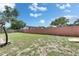 Fenced backyard highlighting the spacious lawn and mature trees, creating a private outdoor area at 8445 Angela Ct, Zephyrhills, FL 33541