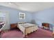 Unique bedroom features blue walls, pink carpet, ceiling fan, and natural light at 9120 108Th St, Seminole, FL 33772