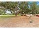 Cows grazing in pasture under mossy trees and blue skies at 9819 Allen Rd, Lithia, FL 33547