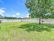 Spacious backyard with lush green grass and a mature shade tree at 14371 Edinburgh Moor Dr, Wimauma, FL 33598