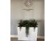 A well-decorated foyer with a large succulent planter and decorative compass rose at 1591 Gulf Blvd # 304S, Clearwater Beach, FL 33767