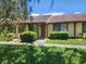 Inviting townhome featuring a well-maintained front yard and neutral tones at 209 Corkwood Ln Ln, Oldsmar, FL 34677