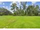 Expansive green backyard offering ample space for outdoor activities and relaxation at 2103 N Golfview Dr, Plant City, FL 33566