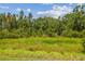 Lush green landscape offers abundant trees and wetlands, creating a private and serene backyard environment at 30326 Ceasar Park Dr, Wesley Chapel, FL 33543