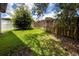 Fenced-in backyard with a lush lawn and mature trees casting dappled shade at 335 Palmdale Dr, Oldsmar, FL 34677