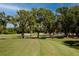 Scenic view of a lush golf course with mature trees providing shade and beauty on a sunny day at 335 Palmdale Dr, Oldsmar, FL 34677