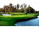Picture of a lush green golf course with a lake in the foreground, providing a picturesque backdrop for a round of golf at 4114 Pinelake Ln # 202, Tampa, FL 33618